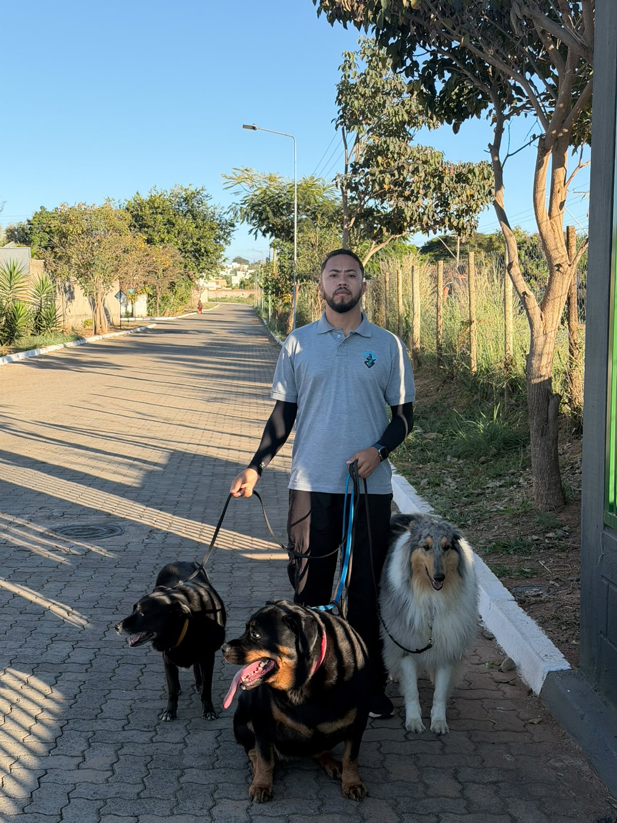 Lucas Alexandre passeando com quatro cães de raças diferentes